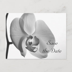 White Orchid Flower Wedding Save the Date Aankondigingskaart