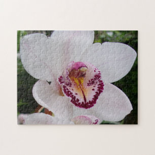 White Orchid I Beauful Tropical Flower Legpuzzel