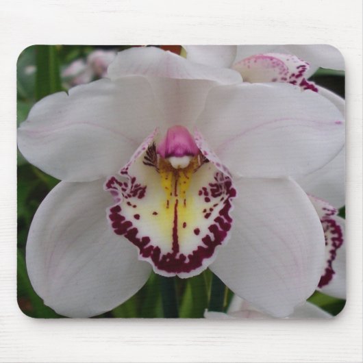 White Orchid II Elegant Floral Muismat (Voorkant)
