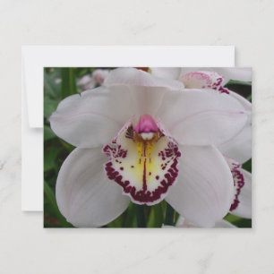 White Orchid II Elegant Floral Notitiekaartje