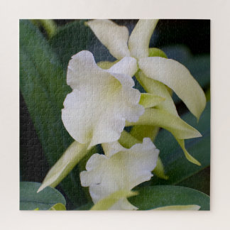 White Orchid Legpuzzel