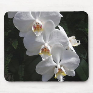 White Orchid Mousepad Muismat