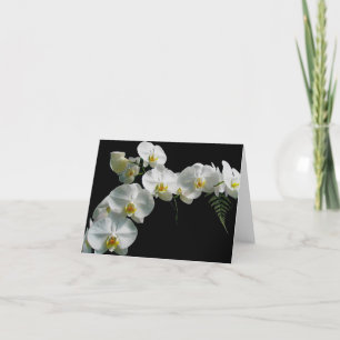 White Orchid Note Kaart