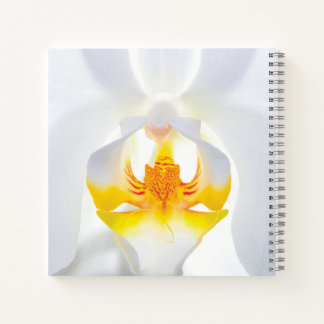 White Orchid Notitieboek