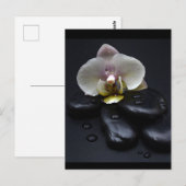 White Orchid on Black Stones Briefkaart (Voorkant / Achterkant)