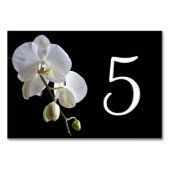 White Orchid op Black Table Numbers Kaart (Achterkant)