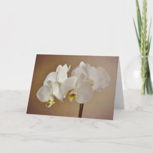 White Orchid Portrait Art Kaart