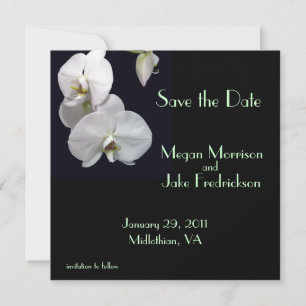 White Orchid Save the Date