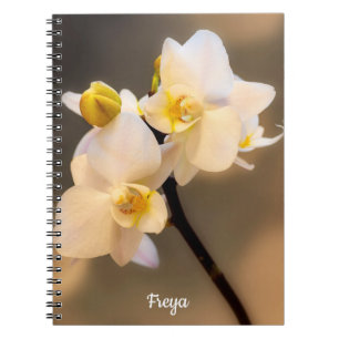 White Orchid Spiral Photo Notitieboek