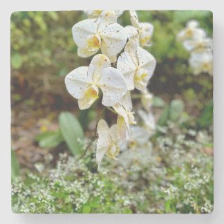 White Orchid Stenen Onderzetter