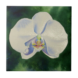 White Orchid Tegeltje