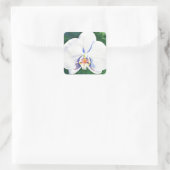 White Orchid Vierkante Sticker (Tas)