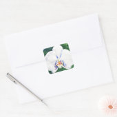 White Orchid Vierkante Sticker (Envelop)