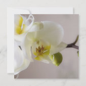 White Orchid ・ Wedding Invitation Kaart (Achterkant)