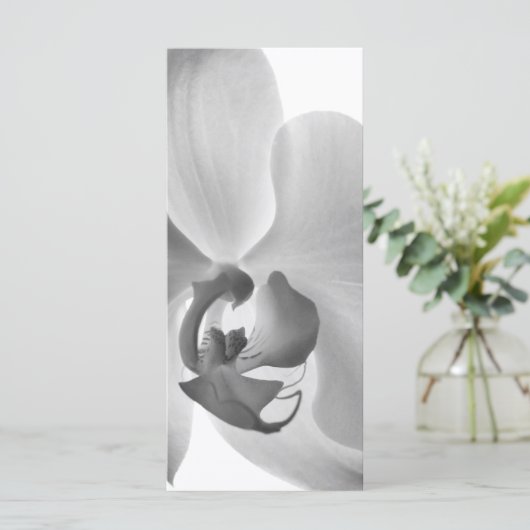 White Orchid Wedding Programme Programma (Staand voorkant)