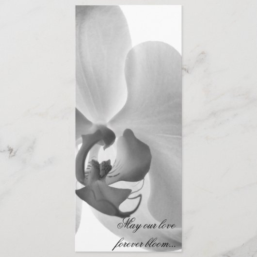 White Orchid Wedding Programme Programma (Voorkant)