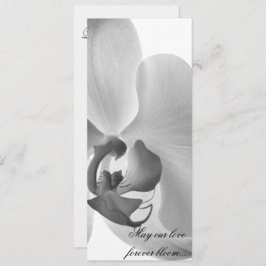 White Orchid Wedding Programme Programma (Voorkant / Achterkant)