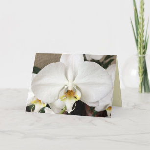 White Orchid Wenskaart Bedankkaart