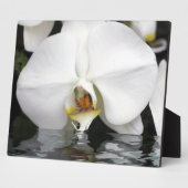 White Orchids Emerging Tabletop Plaque and Easel Fotoplaat (Zijkant)