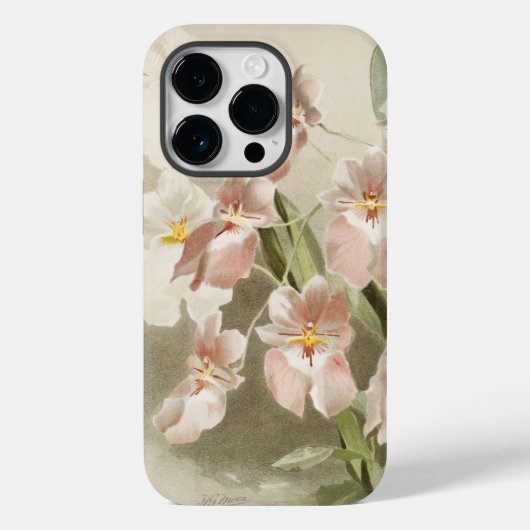 White Orchids Flower Old Illustration Case-Mate iPhone Case (Achterkant)
