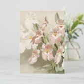 White Orchids Flower  Old Illustration Kaart (Staand voorkant)