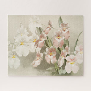 White Orchids Flower Old Illustration Legpuzzel