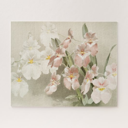 White Orchids Flower  Old Illustration Legpuzzel (Horizontaal)