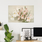 White Orchids Flower Old Illustration Poster (Thuiskantoor)