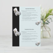 White Orchids Information Sheet Kaart (Staand voorkant)