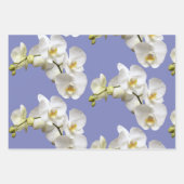 White Orchids Periwinkle Blue Lavender Inpakpapier Vel (Voorkant 2)