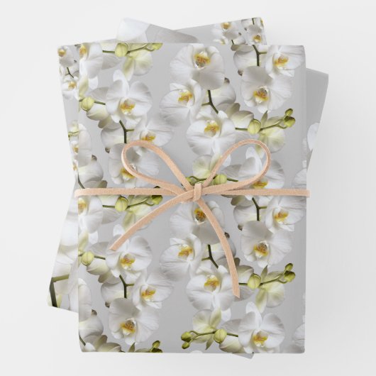 White Orchids Silver Grey Wrapping Paper Sheets (In situ)