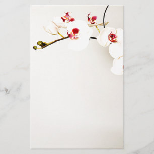 White Orchids Stationery Briefpapier
