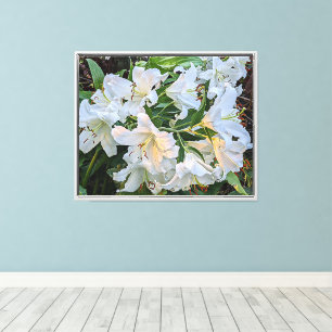 White Oriental Lily Blooms Floral Canvas Afdruk