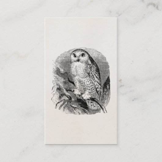  White Owl Bird Personalized Ownership Birds Birds Visitekaartje (Voorkant)