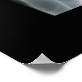 White Owl Bird Photo Natuur Wall Poster (Hoek)