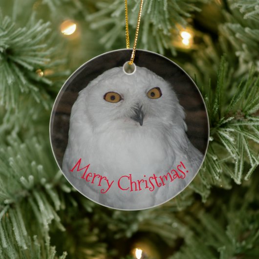 White Owl Photo Kerstmis Keramisch Ornament (Boom)