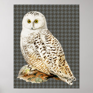 White Owl stijl Art Poster