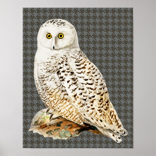 White Owl  stijl Art Poster (Voorkant)