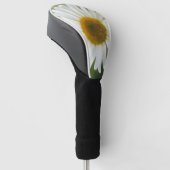 White Oxeye Daisy - Leucanthemum vulgare Golfheadcover (Schuin)