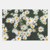 White Oxeye Daisy Meadow Inpakpapier Vel (Voorkant 2)