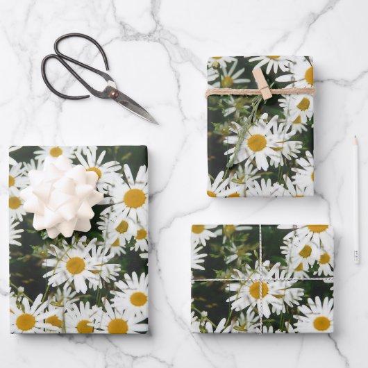 White Oxeye Daisy Meadow Inpakpapier Vel (Voorkant)
