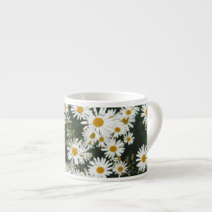 White Oxeye Daisy, Moon Daisy Meadow Espresso Kop