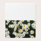 White Oxeye Daisy, Moon Daisy Meadow Kaart (Buitenkant ongevouwen)