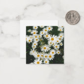 White Oxeye Daisy, Moon Daisy Meadow Notitiekaartje (Voorkant / Achterkant in situ)