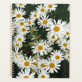 White Oxeye Daisy, Moon Daisy Meadow Planner