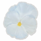 White Pansy Sticker (Voorkant)