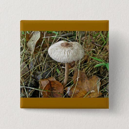 White Parasol Mushroom Magnet Vierkante Button 5,1 Cm (Voorkant)