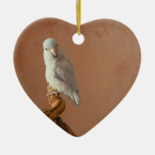 White Parrotlet Keramisch Ornament