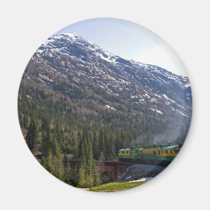 White pass 38 magneet