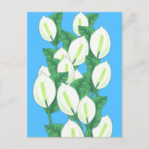 White Peace lily Illustration Briefkaart
